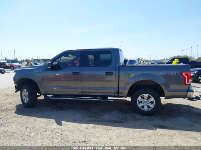 1FTEW1EF4FKE72884 Ford F-150 Xlt