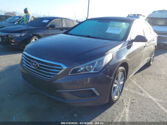 5NPE24AF7HH545217 Hyundai Sonata