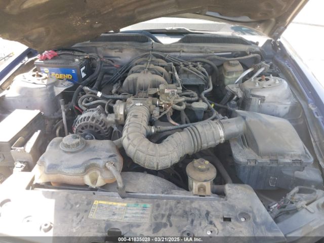 2006 FORD MUSTANG 1ZVFT84N865230478 Photo 9