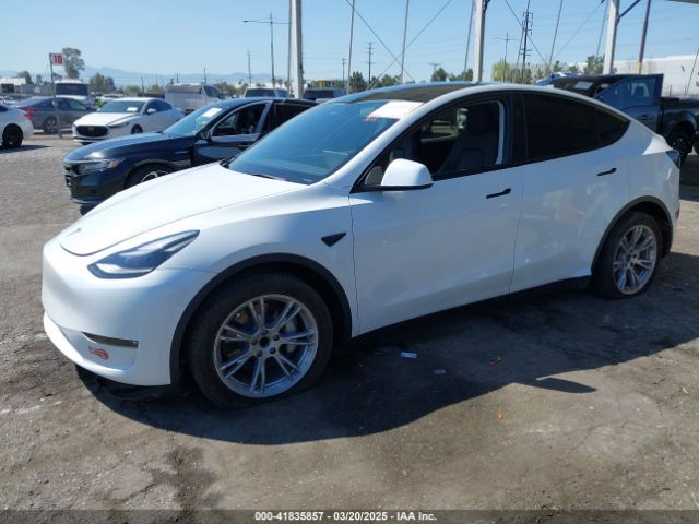 7SAYGDED3PF977004 Tesla Model Y Rwd