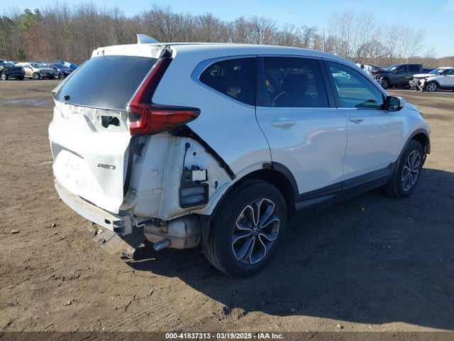 Honda Cr-v Awd Ex-l 2020 5J6RW2H8XLA019966 Image 4