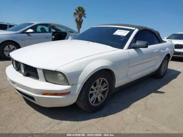 2007 FORD MUSTANG 1ZVFT84N175296159 Photo 1