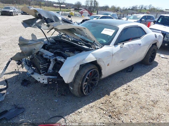 Dodge 2019 2019 2C3CDZFJ3KH724029 Image 2
