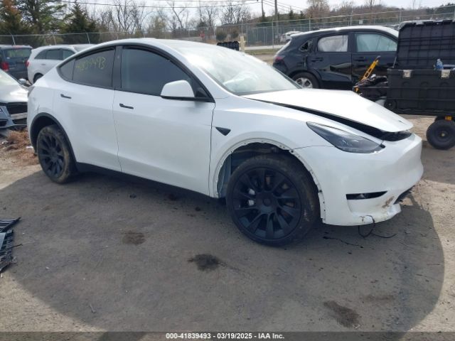 2024 TESLA MODEL Y 7SAYGDEE3RA258490