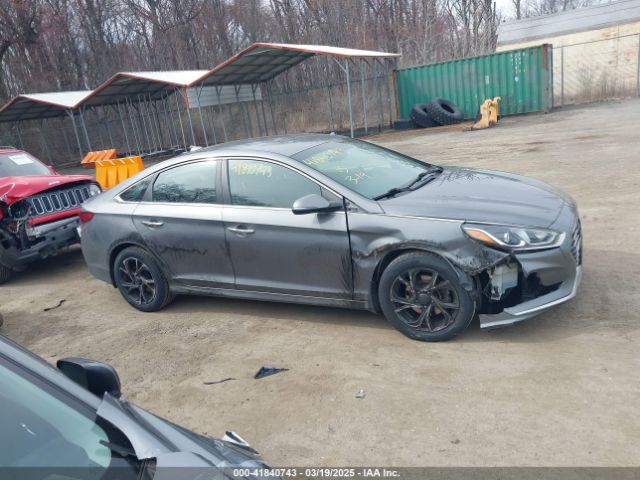5NPE34AF0JH657442 Hyundai SONATA SEL