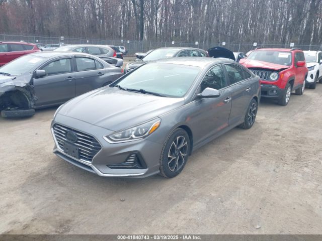 5NPE34AF0JH657442 Hyundai SONATA SEL