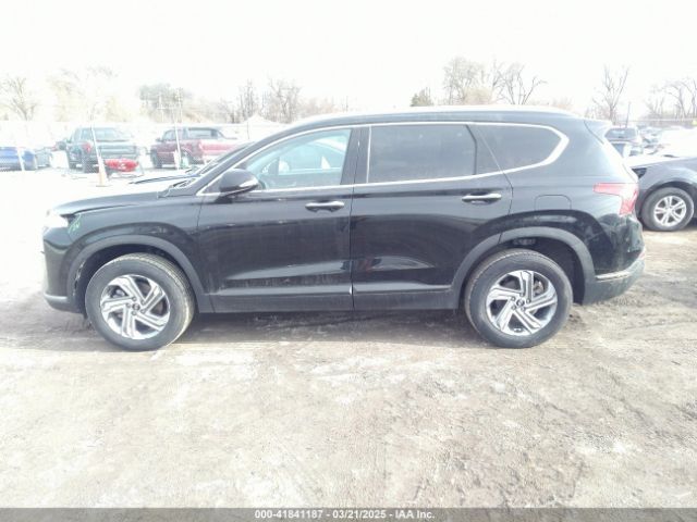 5NMS2DAJ2PH525203 Hyundai Santa Fe Sel
