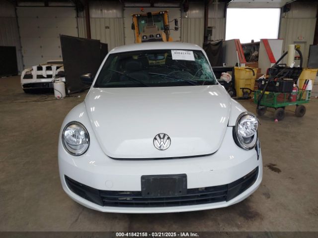 3VWF17AT5GM620291 Volkswagen Beetle 1.8t Fleet Edition