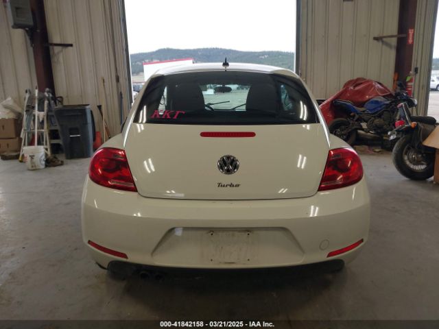 3VWF17AT5GM620291 Volkswagen Beetle 1.8t Fleet Edition