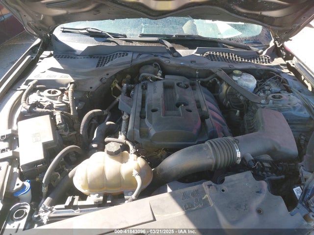 1FATP8UH8K5151266 Ford 4v