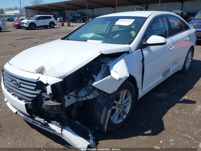 5NPE24AF6HH499881 Hyundai SONATA SE