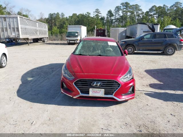 5NPE24AF3KH753232 Hyundai SONATA SE