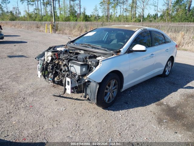 5NPE24AF3FH108750 Hyundai SONATA SE