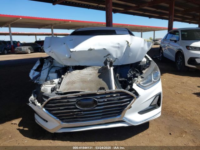 5NPE24AF8JH706504 Hyundai SONATA SE