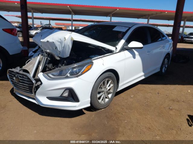 5NPE24AF8JH706504 Hyundai SONATA SE