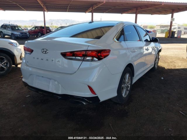 5NPE24AF8JH706504 Hyundai SONATA SE