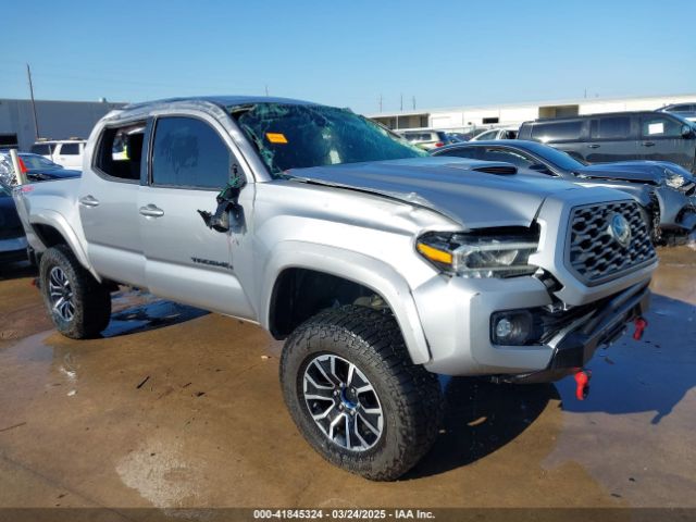 5TFCZ5ANXMX251261 auction archive image