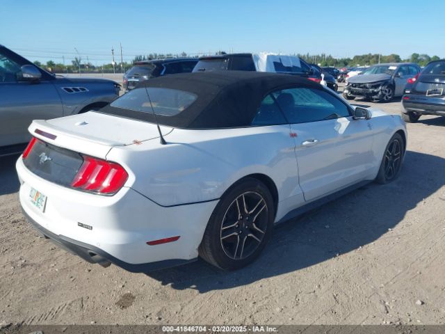 2019 FORD MUSTANG 1FATP8UH8K5162526 Photo 3