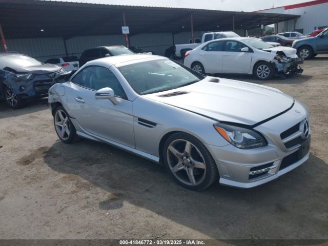 2013 MERCEDES-BENZ SLK 250 WDDPK4HA3DF054317
