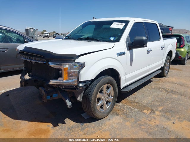 1FTEW1C53KKC67450 Ford F-150 Xlt