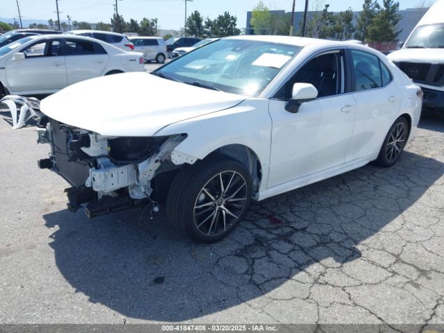 4T1G11AK8MU553894 Toyota CAMRY SE