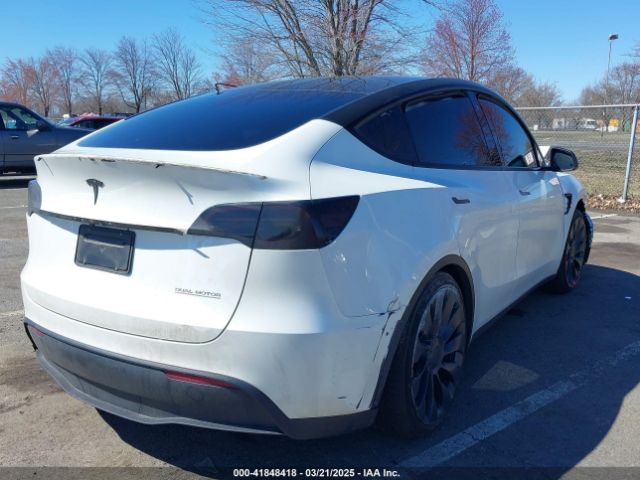 2023 TESLA MODEL Y 7SAYGDEF2PF775367 Photo 3