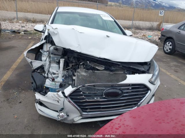 5NPE24AFXJH698843 Hyundai SONATA SE