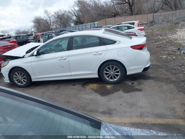 5NPE24AFXJH698843 Hyundai SONATA SE