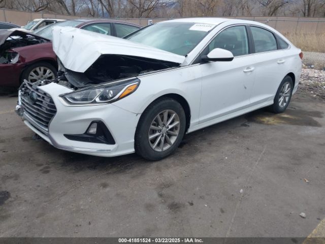 5NPE24AFXJH698843 Hyundai SONATA SE
