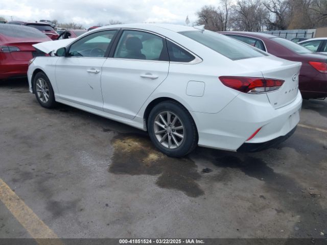 5NPE24AFXJH698843 Hyundai SONATA SE
