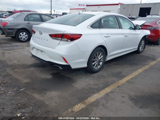 5NPE24AFXJH698843 Hyundai SONATA SE