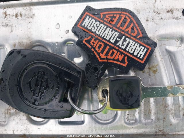 2024 HARLEY-DAVIDSON RH975 1HD1ZH116RB305616 Photo 10