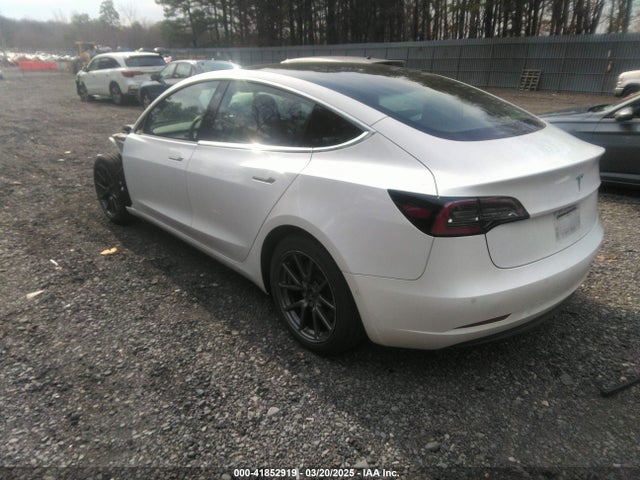 2020 TESLA MODEL 3 5YJ3E1EA4LF792830 Photo 2