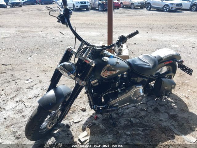 2019 HARLEY-DAVIDSON FLSL 1HD1YDJ25KB066604 Photo 1