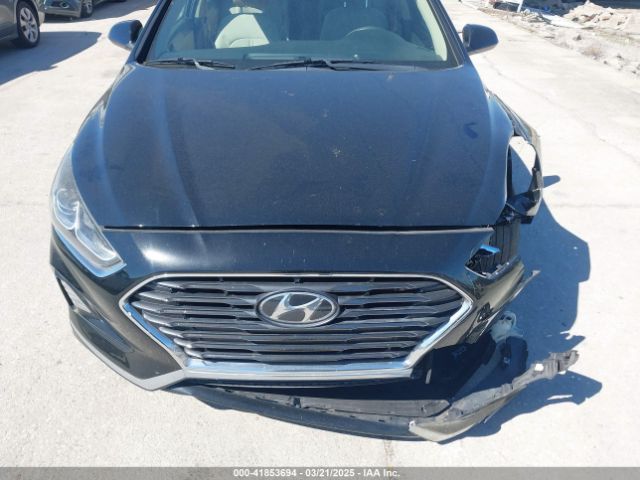 5NPE24AF1KH796242 Hyundai SONATA SE