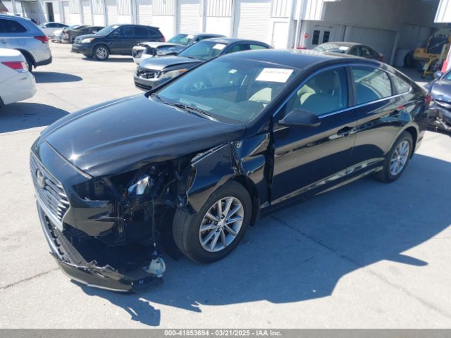 5NPE24AF1KH796242 Hyundai SONATA SE