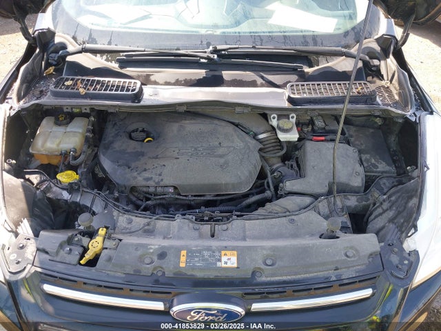 1FMCU0GX8EUA37281 Ford Escape