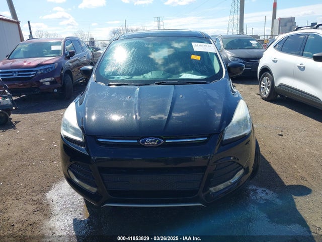 1FMCU0GX8EUA37281 Ford Escape