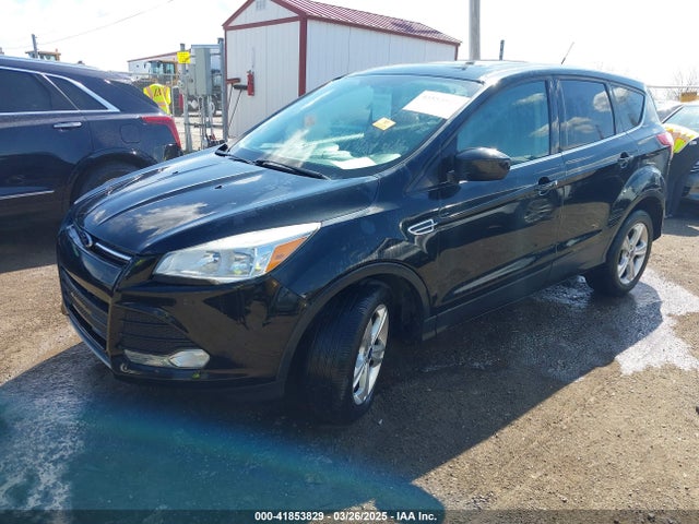 1FMCU0GX8EUA37281 Ford Escape