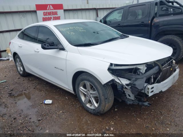 2019 CHEVROLET MALIBU 1G1ZB5STXKF228442