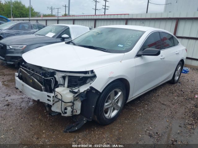 2019 CHEVROLET MALIBU 1G1ZB5STXKF228442 Photo 1