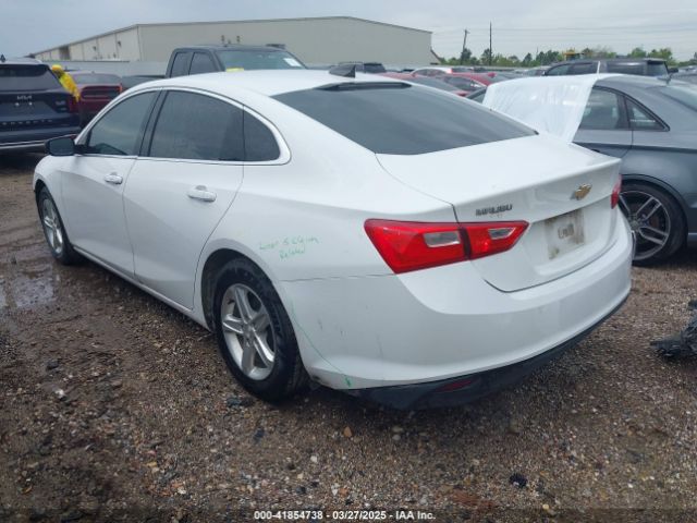 2019 CHEVROLET MALIBU 1G1ZB5STXKF228442 Photo 2
