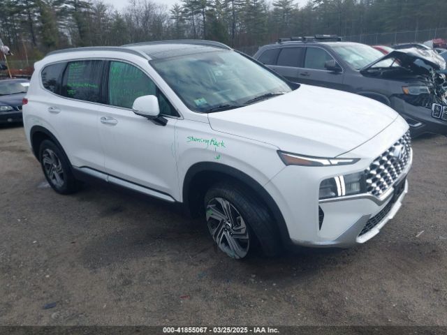 2023 HYUNDAI SANTA FE 5NMS3DAJXPH606222