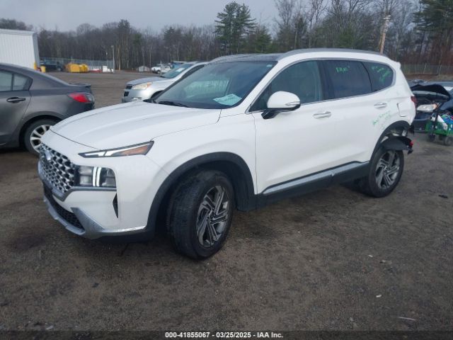 2023 HYUNDAI SANTA FE 5NMS3DAJXPH606222 Photo 1