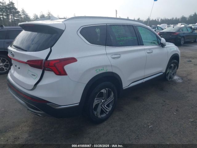 2023 HYUNDAI SANTA FE 5NMS3DAJXPH606222 Photo 3