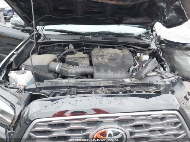 3TYSZ5AN4PT116156 Toyota Tacoma Trd Sport