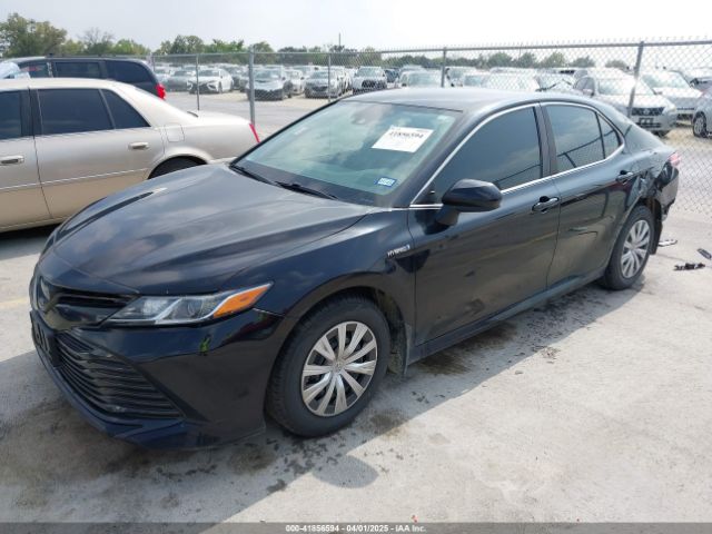 4T1C31AK9LU019648 Toyota Camry Le Hybrid