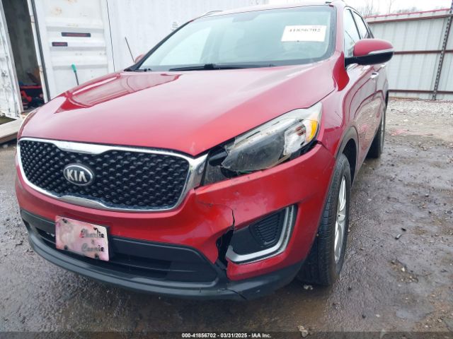 5XYPG4A36GG047046 KIA Sorento 2.4l Lx