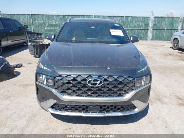 5NMS54AL9PH627476 Hyundai Santa Fe Calligraphy