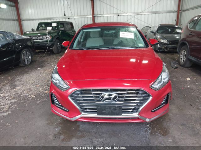 5NPE34AF6JH604177 Hyundai SONATA SEL